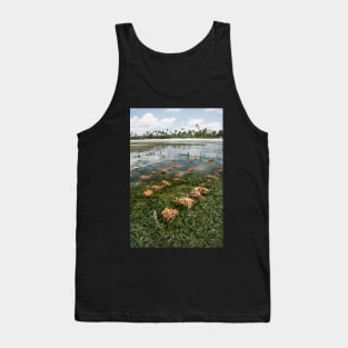 Matemwe Shellfish culture Tank Top